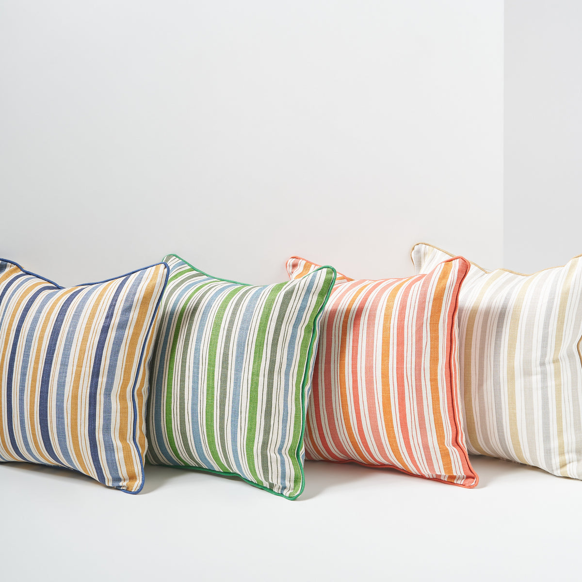 Boundary Cushion Coral